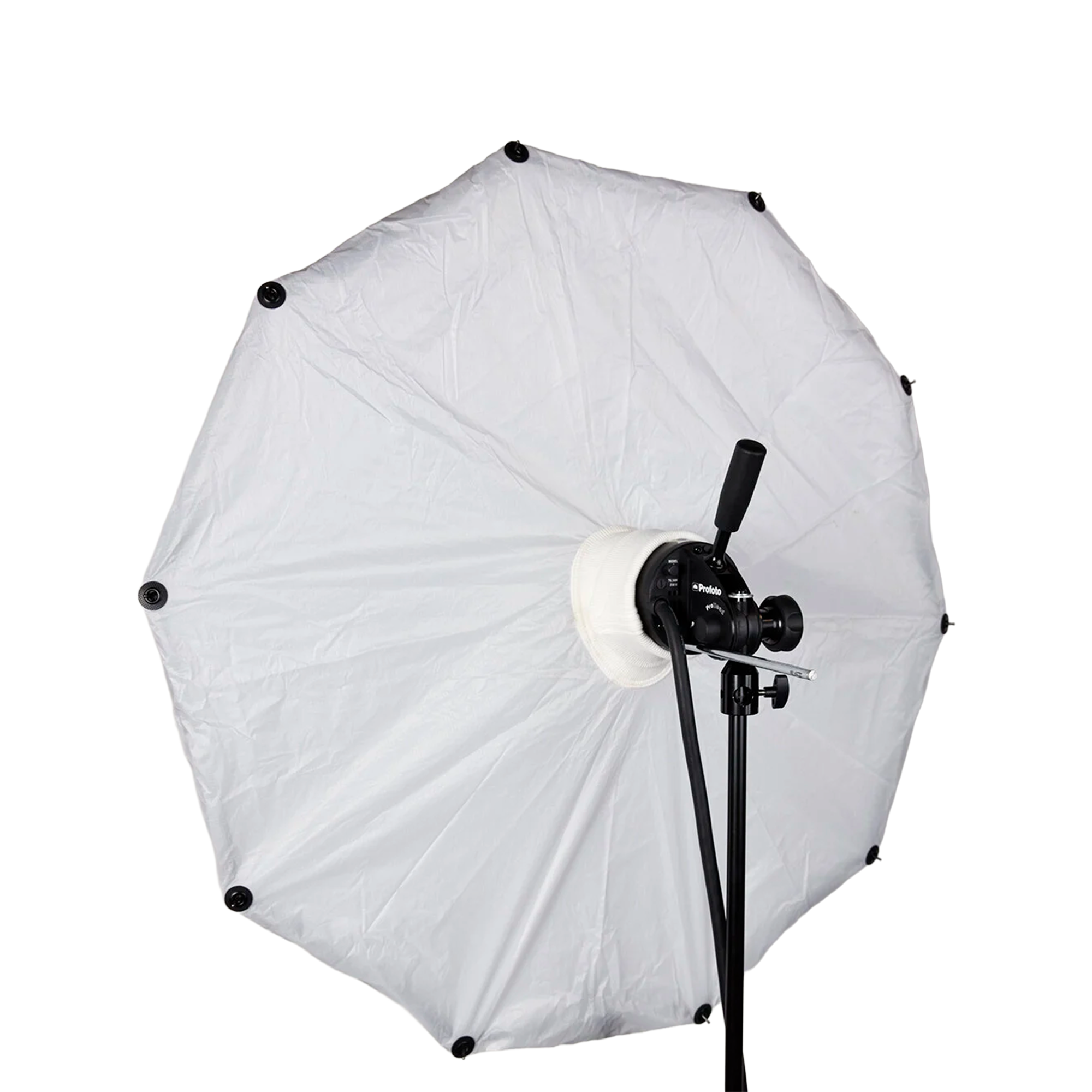 Softlighter II 36"