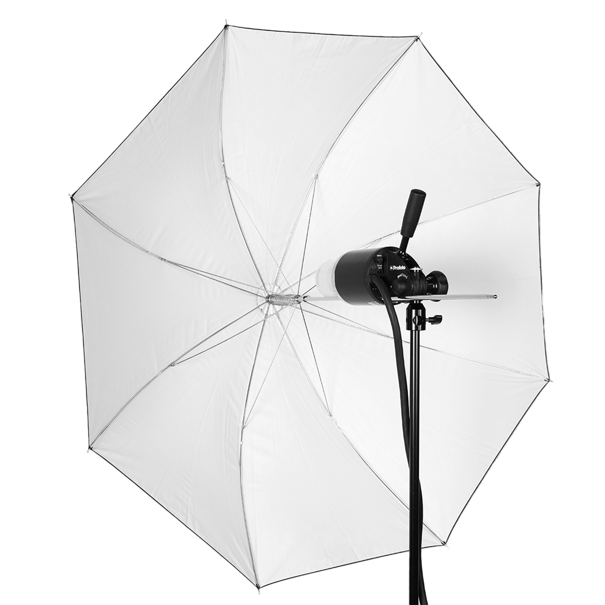 Shallow White Medium Umbrella