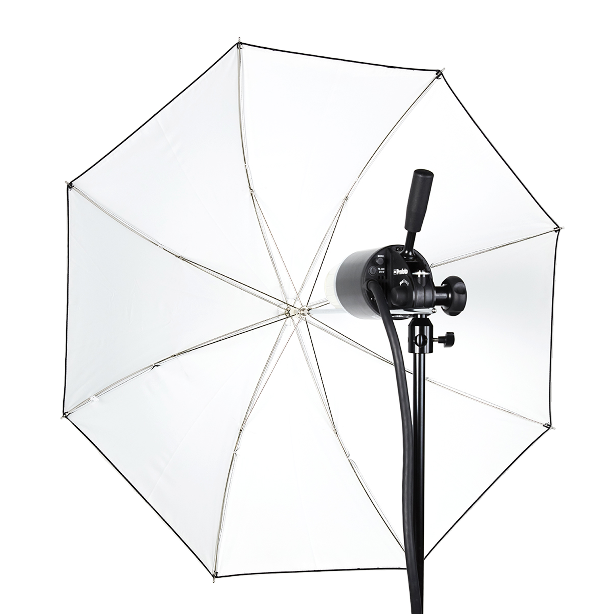 Shallow White Small Umbrella