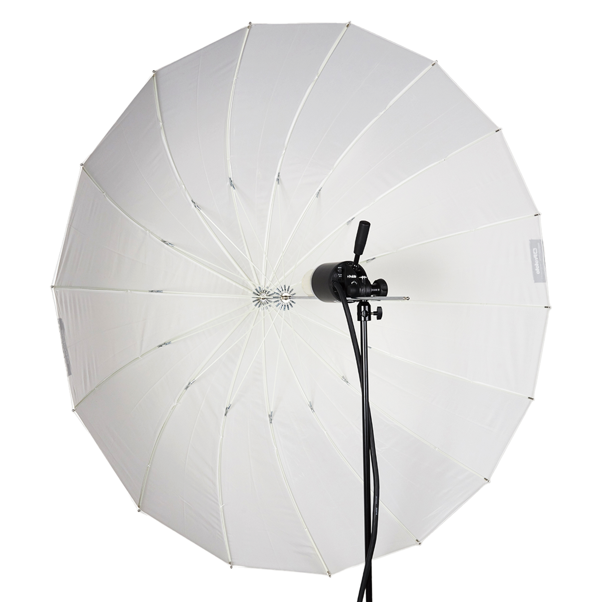Translucent Deep Large Umbrella