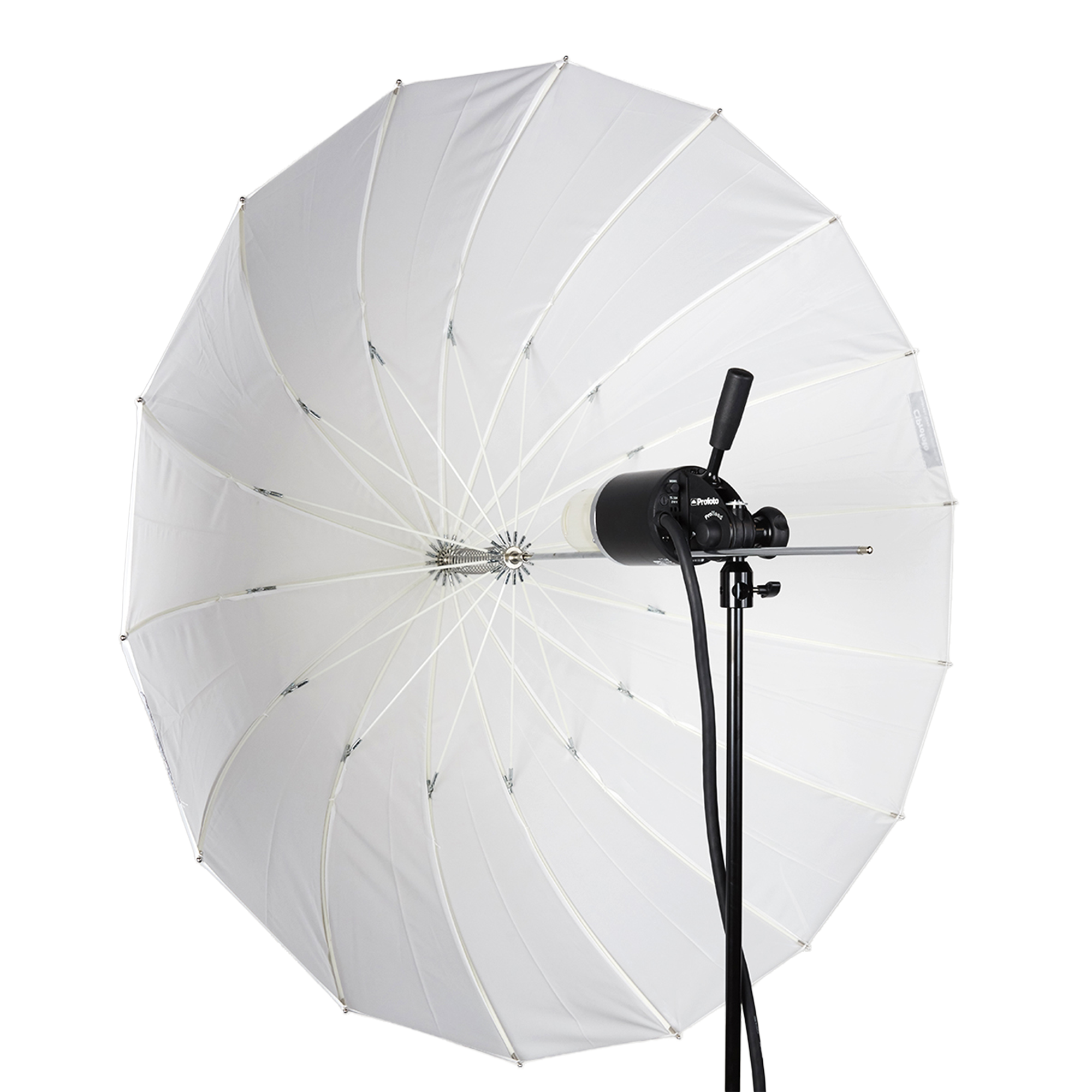 Translucent Deep Medium Umbrella