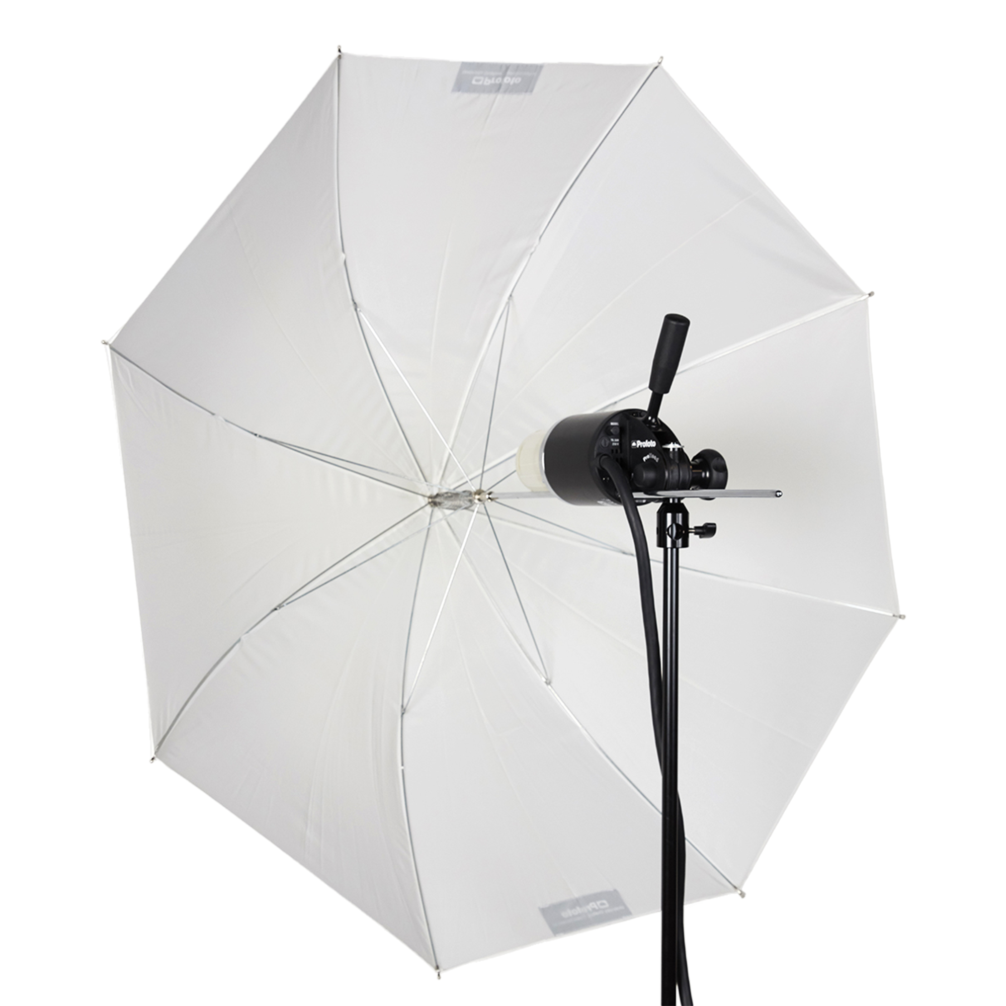 Translucent Shallow Medium Umbrella