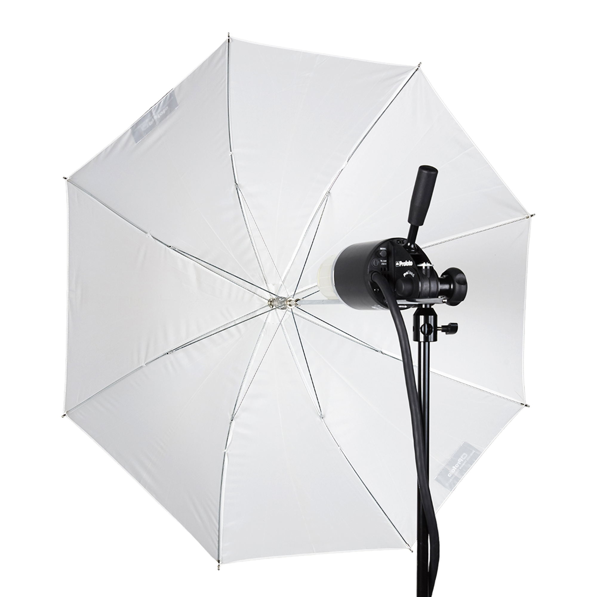 Translucent Shallow Small Umbrella